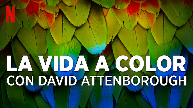 La vida a color con David Attenborough